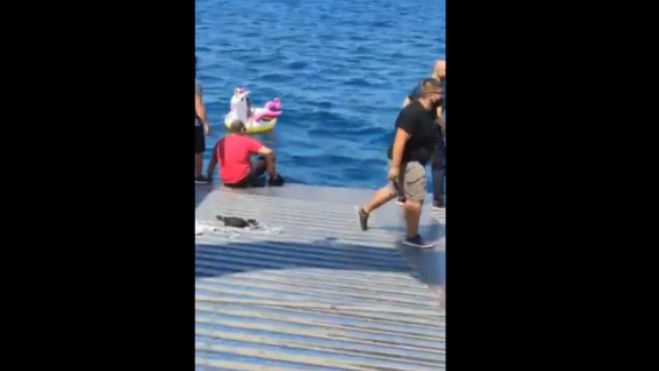 &Delta;&iota;ά&sigma;&omega;&sigma;&eta; 3&chi;&rho;&omicron;&nu;&omicron;&upsilon; &pi;&alpha;&iota;&delta;&iota;&omicron;ύ &alpha;&pi;ό &phi;έ&rho;&upsilon; &mu;&pi;&omicron;&tau; &sigma;&tau;&omicron; &Alpha;&nu;&tau;ί&rho;&rho;&iota;&omicron; - &Pi;&alpha;&rho;&alpha;&sigma;ύ&rho;&theta;&eta;&kappa;&epsilon; &mu;&epsilon; &tau;&omicron; &phi;&omicron;&upsilon;&sigma;&kappa;&omega;&tau;ό &tau;&omicron;&upsilon; (vd)