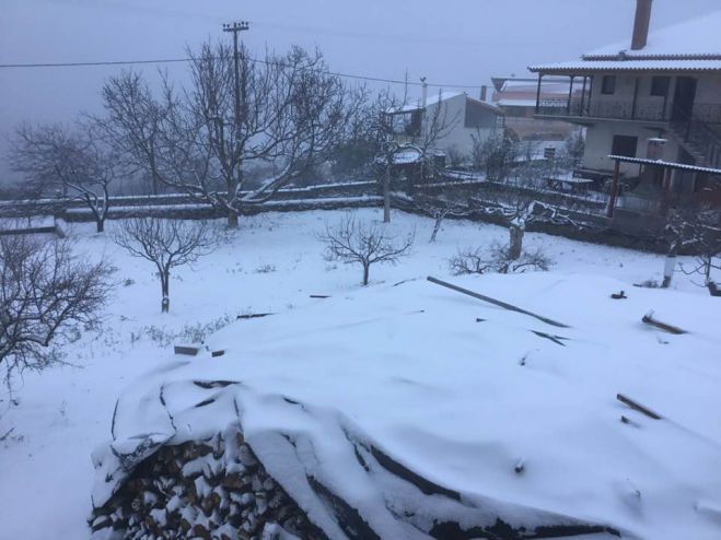 &Eta; &chi;&iota;&omicron;&nu;&iota;&sigma;&mu;έ&nu;&eta; &Phi;&alpha;&lambda;&alpha;&iota;&sigma;ί&alpha; (&epsilon;&iota;&kappa;ό&nu;&epsilon;&sigmaf;)