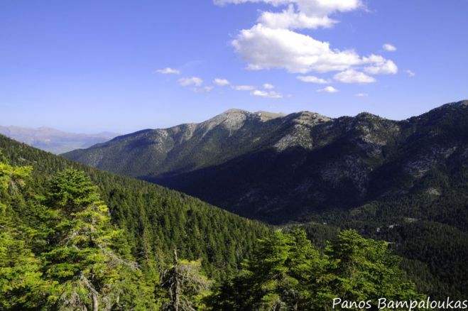 &Alpha;&pi;ί&sigma;&tau;&epsilon;&upsilon;&tau;&omicron; | &Xi;&epsilon;&pi;έ&rho;&alpha;&sigma;&alpha;&nu; &tau;&iota;&sigmaf; 6.000 &omicron;&iota; &upsilon;&pi;&omicron;&gamma;&rho;&alpha;&phi;έ&sigmaf; &epsilon;&nu;&alpha;&nu;&tau;ί&omicron;&nu; &tau;&eta;&sigmaf; &tau;&omicron;&pi;&omicron;&theta;έ&tau;&eta;&sigma;&eta;&sigmaf; &alpha;&nu;&epsilon;&mu;&omicron;&gamma;&epsilon;&nu;&nu;&eta;&tau;&rho;&iota;ώ&nu; &sigma;&tau;&alpha; 4 &beta;&omicron;&upsilon;&nu;ά &tau;&eta;&sigmaf; &Alpha;&rho;&kappa;&alpha;&delta;ί&alpha;&sigmaf;!