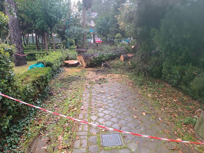 &Alpha;&upsilon;&tau;ό&sigmaf; &epsilon;ί&nu;&alpha;&iota; &omicron; &lambda;ό&gamma;&omicron;&sigmaf; &pi;&omicron;&upsilon; &kappa;ό&beta;&omicron;&nu;&tau;&alpha;&iota; &delta;έ&nu;&delta;&rho;&alpha; &sigma;&epsilon; &pi;ά&rho;&kappa;&alpha; &tau;&eta;&sigmaf; &Tau;&rho;ί&pi;&omicron;&lambda;&eta;&sigmaf; - "&Upsilon;&pi;ή&rho;&chi;&epsilon; &kappa;ί&nu;&delta;&upsilon;&nu;&omicron;&sigmaf; &nu;&alpha; &pi;έ&sigma;&omicron;&upsilon;&nu; &kappa;&alpha;&iota; &nu;&alpha; &sigma;&upsilon;&mu;&beta;&epsilon;ί &alpha;&tau;ύ&chi;&eta;&mu;&alpha; - &Eta; &alpha;&pi;ό&phi;&alpha;&sigma;&eta; &epsilon;ί&nu;&alpha;&iota; &tau;&omicron;&upsilon; &Delta;&alpha;&sigma;&alpha;&rho;&chi;&epsilon;ί&omicron;&upsilon;"