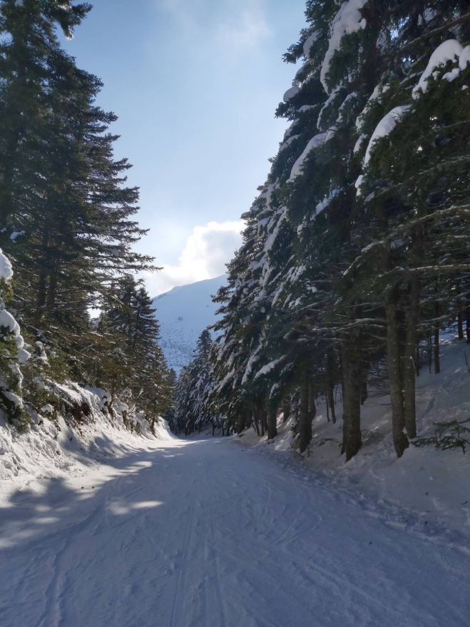 &Sigma;&epsilon; &pi;&lambda;ή&rho;&eta; &lambda;&epsilon;&iota;&tau;&omicron;&upsilon;&rho;&gamma;ί&alpha; &pi;&alpha;&rho;&alpha;&mu;έ&nu;&epsilon;&iota; &tau;&omicron; &Chi;&iota;&omicron;&nu;&omicron;&delta;&rho;&omicron;&mu;&iota;&kappa;ό &Mu;&alpha;&iota;&nu;ά&lambda;&omicron;&upsilon;