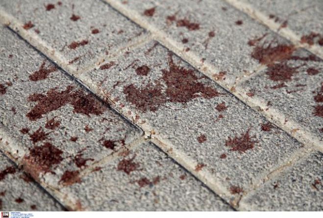 &Alpha;&nu;&alpha;&beta;ά&lambda;&lambda;&epsilon;&tau;&alpha;&iota; &omicron; &alpha;&gamma;ώ&nu;&alpha;&sigmaf; &Alpha;&Epsilon;&Kappa;-&Nu;&tau;&iota;&nu;&alpha;&mu;ό &Zeta;ά&gamma;&kappa;&rho;&epsilon;&mu;&pi;