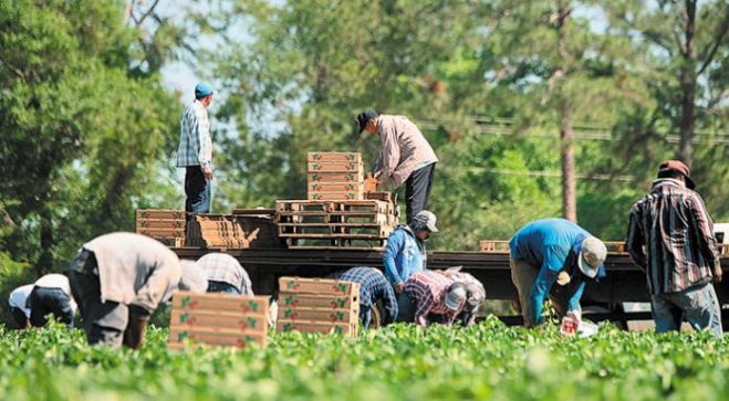 Παράταση της κατά παρέκκλιση διαδικασίας (3 συν 3 μήνες) για τους εργάτες γης