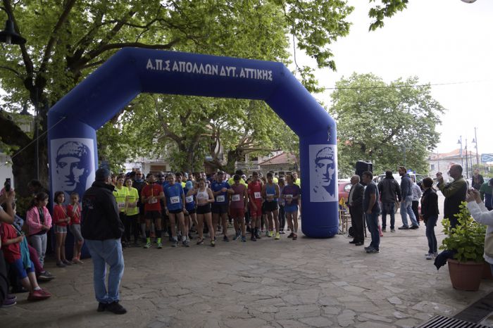 &Kappa;&omicron;&sigma;&mu;ά&sigmaf; &Kappa;&upsilon;&nu;&omicron;&upsilon;&rho;ί&alpha;&sigmaf; | &Pi;ά&nu;&omega; &alpha;&pi;ό 100 &delta;&rho;&omicron;&mu;&epsilon;ί&sigmaf; &delta;&iota;έ&sigma;&chi;&iota;&sigma;&alpha;&nu; έ&nu;&alpha;&nu; &alpha;&pi;ό &tau;&omicron;&upsilon;&sigmaf; &mu;&epsilon;&gamma;&alpha;&lambda;ύ&tau;&epsilon;&rho;&omicron;&upsilon;&sigmaf; &kappa;&alpha;&sigma;&tau;&alpha;&nu;&epsilon;ώ&nu;&epsilon;&sigmaf; &sigma;&tau;&eta;&nu; &Epsilon;&lambda;&lambda;ά&delta;&alpha;! (&epsilon;&iota;&kappa;ό&nu;&epsilon;&sigmaf;)