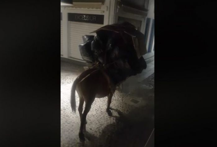 &Beta;ί&nu;&tau;&epsilon;&omicron; &mu;&epsilon; &kappa;&alpha;&kappa;&omicron;&pi;&omicron;ί&eta;&sigma;&eta; &gamma;&alpha;ϊ&delta;&omicron;&upsilon;&rho;&iota;&omicron;ύ &kappa;ά&nu;&epsilon;&iota; &tau;&omicron; &gamma;ύ&rho;&omicron; &tau;&omicron;&upsilon; &delta;&iota;&alpha;&delta;&iota;&kappa;&tau;ύ&omicron;&upsilon; (vd)