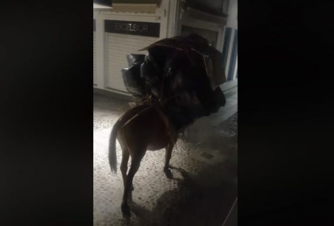 &Beta;ί&nu;&tau;&epsilon;&omicron; &mu;&epsilon; &kappa;&alpha;&kappa;&omicron;&pi;&omicron;ί&eta;&sigma;&eta; &gamma;&alpha;ϊ&delta;&omicron;&upsilon;&rho;&iota;&omicron;ύ &kappa;ά&nu;&epsilon;&iota; &tau;&omicron; &gamma;ύ&rho;&omicron; &tau;&omicron;&upsilon; &delta;&iota;&alpha;&delta;&iota;&kappa;&tau;ύ&omicron;&upsilon; (vd)