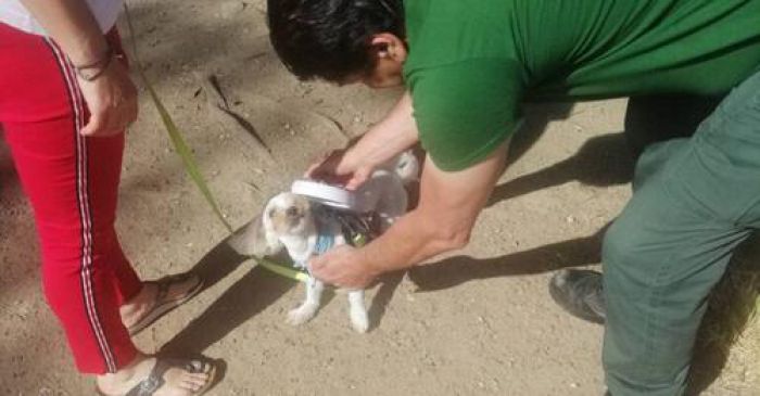 Έ&lambda;&epsilon;&gamma;&chi;&omicron;&iota; &sigma;&epsilon; &delta;&epsilon;&sigma;&pi;&omicron;&zeta;ό&mu;&epsilon;&nu;&alpha; &zeta;ώ&alpha; &alpha;&pi;ό &tau;&eta; &Delta;&eta;&mu;&omicron;&tau;&iota;&kappa;ή &Alpha;&sigma;&tau;&upsilon;&nu;&omicron;&mu;ί&alpha; &sigma;&tau;&eta;&nu; &Kappa;&alpha;&lambda;&alpha;&mu;ά&tau;&alpha;