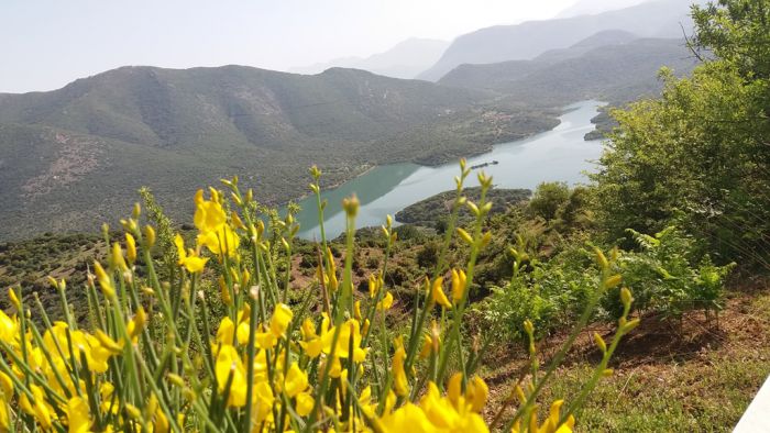 Η λίμνη Λάδωνα ... μέσα από καταπληκτικές εικόνες!