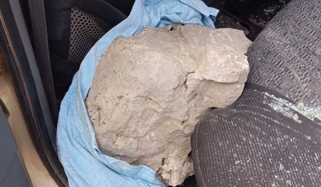 "&Lambda;&epsilon;&omega;&nu;ί&delta;&iota;&omicron; - &Tau;&sigma;&iota;&tau;ά&lambda;&iota;&alpha;" | &Pi;&rho;&omicron;&sigma;&omega;&rho;&iota;&nu;ό&sigmaf; &alpha;&nu;ά&delta;&omicron;&chi;&omicron;&sigmaf; &gamma;&iota;&alpha; &tau;&omicron; έ&rho;&gamma;&omicron;