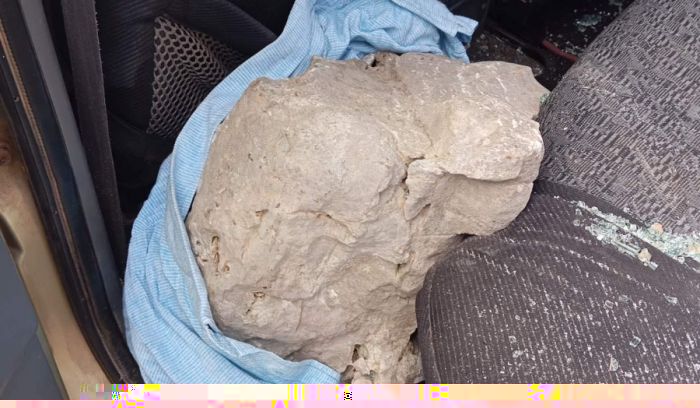 "&Lambda;&epsilon;&omega;&nu;ί&delta;&iota;&omicron; - &Tau;&sigma;&iota;&tau;ά&lambda;&iota;&alpha;" | &Pi;&rho;&omicron;&sigma;&omega;&rho;&iota;&nu;ό&sigmaf; &alpha;&nu;ά&delta;&omicron;&chi;&omicron;&sigmaf; &gamma;&iota;&alpha; &tau;&omicron; έ&rho;&gamma;&omicron;