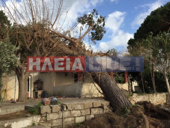 &Alpha;&nu;&epsilon;&mu;&omicron;&sigma;&tau;&rho;ό&beta;&iota;&lambda;&omicron;&sigmaf; ... &sigma;ά&rho;&omega;&sigma;&epsilon; &tau;&alpha; &pi;ά&nu;&tau;&alpha; &sigma;&tau;&eta;&nu; &Eta;&lambda;&epsilon;ί&alpha;!