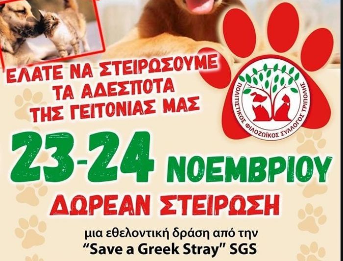 Σχεδόν 200 αδέσποτα θα στειρωθούν δωρεάν στην Τρίπολη!