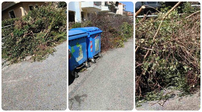 «Σεβόμαστε το περιβάλλον – Δεν εναποθέτουμε κλαδιά σε δημόσιους χώρους»