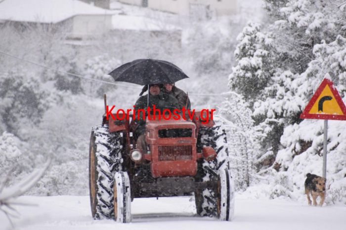 Έντονη χιονόπτωση | Απροσπέλαστος ο δρόμος Νεμέα-Πλατάνι-Σκοτεινή-Λεβίδι (vd)