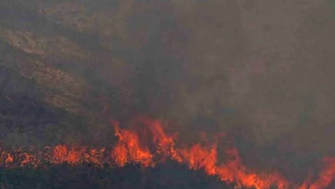 &Pi;&upsilon;&rho;&kappa;&alpha;&gamma;&iota;έ&sigmaf; | "&Omicron;&iota; &mu;ό&nu;&omicron;&iota; &pi;&omicron;&upsilon; &delta;&epsilon;&nu; &phi;έ&rho;&omicron;&upsilon;&nu; &omicron;&upsilon;&delta;&epsilon;&mu;ί&alpha; &epsilon;&upsilon;&theta;ύ&nu;&eta; &gamma;&iota;&alpha; &tau;&iota;&sigmaf; &kappa;&alpha;&tau;&alpha;&sigma;&tau;&rho;&omicron;&phi;έ&sigmaf; &epsilon;ί&nu;&alpha;&iota; &omicron;&iota; &pi;&upsilon;&rho;&omicron;&sigma;&beta;έ&sigma;&tau;&epsilon;&sigmaf; &mu;&alpha;&sigmaf;"