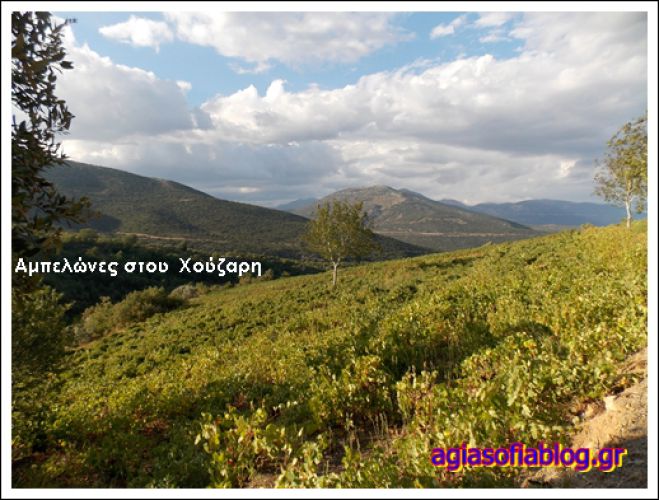 &Tau;&rho;ύ&gamma;&omicron;&sigmaf; &sigma;&tau;&eta;&nu; &Alpha;&gamma;&iota;&alpha;&Sigma;&omicron;&phi;&iota;ά &Kappa;&upsilon;&nu;&omicron;&upsilon;&rho;ί&alpha;&sigmaf; (&epsilon;&iota;&kappa;ό&nu;&epsilon;&sigmaf;)!
