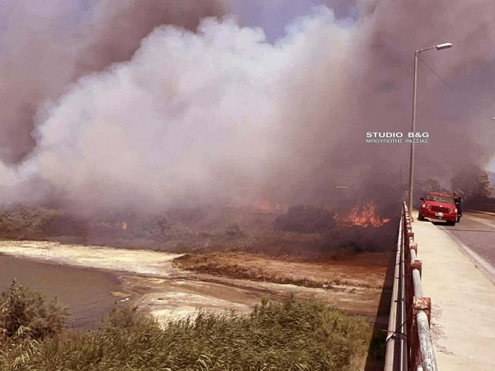 Πυρκαγιές σε Νεοχώρι Μεσσηνίας και Νέα Κίο Αργολίδας