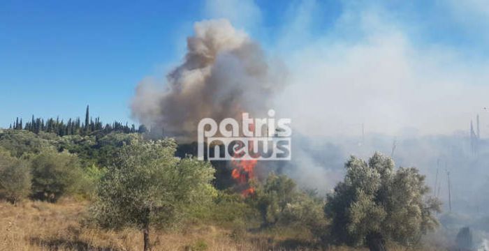 Νέα μεγάλη πυρκαγιά στην Ηλεία – Κινδυνεύει το χωριό Ροδινά