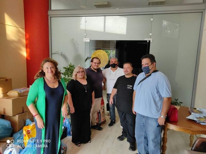 &Eta; &beta;&omicron;ή&theta;&epsilon;&iota;&alpha; &tau;&omega;&nu; &Alpha;&rho;&kappa;ά&delta;&omega;&nu; &tau;&omicron;&upsilon; &Eta;&rho;&alpha;&kappa;&lambda;&epsilon;ί&omicron;&upsilon; &Alpha;&tau;&tau;&iota;&kappa;ή&sigmaf; &gamma;&iota;&alpha; &tau;&omicron;&upsilon;&sigmaf; &pi;&upsilon;&rho;ό&pi;&lambda;&eta;&kappa;&tau;&omicron;&upsilon;&sigmaf; &tau;&eta;&sigmaf; &Gamma;&omicron;&rho;&tau;&upsilon;&nu;ί&alpha;&sigmaf; (&epsilon;&iota;&kappa;ό&nu;&epsilon;&sigmaf;)