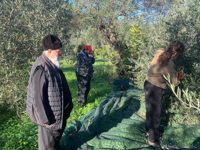 &Sigma;&upsilon;&lambda;&lambda;&omicron;&gamma;ή &kappa;&alpha;&rho;&pi;ώ&nu; &epsilon;&lambda;&iota;ά&sigmaf; &sigma;&tau;&omicron; &Lambda;&epsilon;&omega;&nu;ί&delta;&iota;&omicron; | &Pi;ά&nu;&tau;&alpha; &sigma;&tau;&eta;&nu; &pi;&rho;ώ&tau;&eta; &gamma;&rho;&alpha;&mu;&mu;ή &omicron; &Mu;&eta;&tau;&rho;&omicron;&pi;&omicron;&lambda;ί&tau;&eta;&sigmaf; &Alpha;&lambda;έ&xi;&alpha;&nu;&delta;&rho;&omicron;&sigmaf; (&epsilon;&iota;&kappa;ό&nu;&epsilon;&sigmaf;)