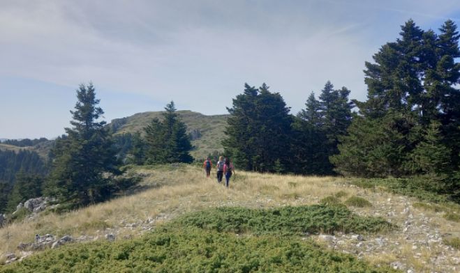 &Omicron;&rho;&epsilon;&iota;&beta;&alpha;&tau;&iota;&kappa;ή &delta;&iota;&alpha;&delta;&rho;&omicron;&mu;ή &sigma;&tau;&omicron; &Mu;&alpha;ί&nu;&alpha;&lambda;&omicron; &alpha;&pi;ό &tau;&omicron;&nu; &Epsilon;&Omicron;&Sigma; &Tau;&rho;ί&pi;&omicron;&lambda;&eta;&sigmaf;