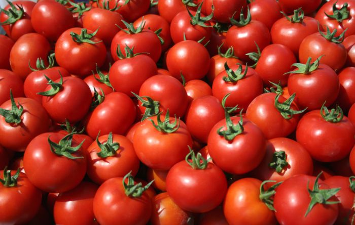 1640 κιλά ντομάτες ... αγνώστου προέλευσης εντοπίστηκαν στον Πειραιά!