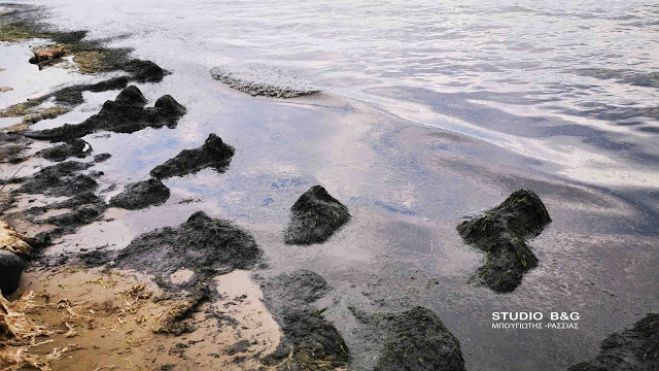 Τι είναι αυτή η παχύρρευστη ουσία στην παραλία του Ναυπλίου; (vd)