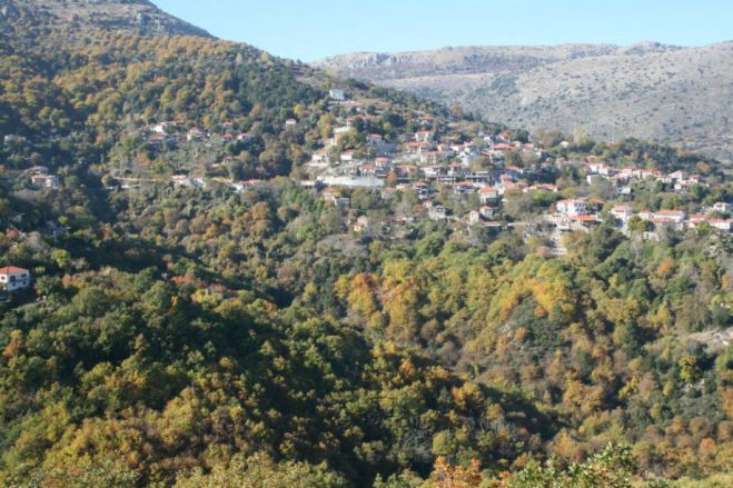 Εθελοντική Πυροσβεστική Ομάδα θα δημιουργηθεί στα Δολιανά
