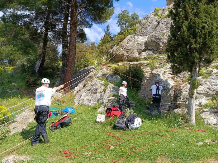 &Epsilon;&lambda;&lambda;&eta;&nu;&iota;&kappa;ή &Omicron;&mu;ά&delta;&alpha; &Delta;&iota;ά&sigma;&omega;&sigma;&eta;&sigmaf; &Alpha;&rho;&kappa;&alpha;&delta;ί&alpha;&sigmaf; | &Epsilon;&xi;ά&sigma;&kappa;&eta;&sigma;&eta; &Tau;&mu;ή&mu;&alpha;&tau;&omicron;&sigmaf; &Omicron;&rho;&epsilon;&iota;&nu;ή&sigmaf; &Delta;&iota;ά&sigma;&omega;&sigma;&eta;&sigmaf; &sigma;&tau;&eta; &Nu;&epsilon;&sigma;&tau;ά&nu;&eta; (&epsilon;&iota;&kappa;ό&nu;&epsilon;&sigmaf;)
