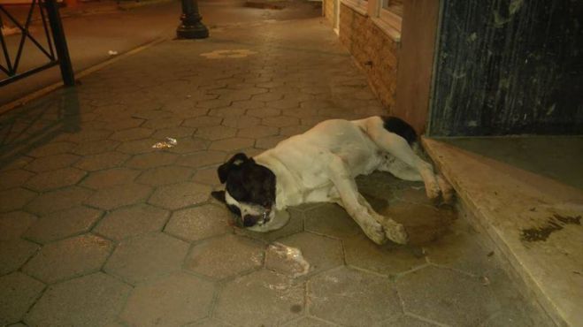 &Phi;ό&lambda;&epsilon;&sigmaf; &sigma;&epsilon; &alpha;&delta;έ&sigma;&pi;&omicron;&tau;&alpha; | "&Kappa;&alpha;&tau;&alpha;&delta;&iota;&kappa;ά&zeta;&omicron;&upsilon;&mu;&epsilon; &tau;έ&tau;&omicron;&iota;&epsilon;&sigmaf; &epsilon;&nu;έ&rho;&gamma;&epsilon;&iota;&epsilon;&sigmaf;. &Nu;&alpha; &tau;&iota;&mu;&omega;&rho;&eta;&theta;&omicron;ύ&nu; ό&sigma;&omicron;&iota; &delta;&iota;&alpha;&pi;&rho;ά&tau;&tau;&omicron;&upsilon;&nu; &tau;έ&tau;&omicron;&iota;&omicron; έ&gamma;&kappa;&lambda;&eta;&mu;&alpha;" &lambda;έ&epsilon;&iota; &omicron; &Delta;ή&mu;&omicron;&sigmaf; &Tau;&rho;ί&pi;&omicron;&lambda;&eta;&sigmaf;