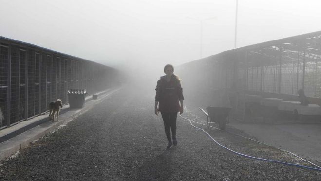 &Tau;&omicron; &delta;&eta;&mu;&omicron;&tau;&iota;&kappa;ό &kappa;&alpha;&tau;&alpha;&phi;ύ&gamma;&iota;&omicron; &Tau;&rho;ί&pi;&omicron;&lambda;&eta;&sigmaf; &alpha;&nu;&omicron;ί&gamma;&epsilon;&iota; &tau;&eta;&nu; &pi;ό&rho;&tau;&alpha; &tau;&omicron;&upsilon; &sigma;&tau;&omicron;&upsilon;&sigmaf; &epsilon;&theta;&epsilon;&lambda;&omicron;&nu;&tau;έ&sigmaf; &gamma;&iota;&alpha; &pi;&rho;ώ&tau;&eta; &phi;&omicron;&rho;ά!