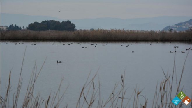 &Gamma;&rho;ί&pi;&eta; &tau;&omega;&nu; &pi;&tau;&eta;&nu;ώ&nu; | &Omicron;&delta;&eta;&gamma;ί&epsilon;&sigmaf; &sigma;&tau;&omicron;&upsilon;&sigmaf; &pi;&omicron;&lambda;ί&tau;&epsilon;&sigmaf; - &Tau;&iota; &nu;&alpha; &pi;&rho;&omicron;&sigma;έ&chi;&omicron;&upsilon;&nu;