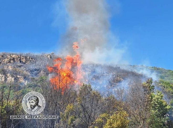 Υπό έλεγχο τέθηκε η φωτιά στο Λεοντάρι Αρκαδίας (εικόνες)