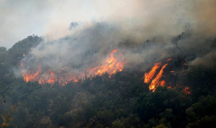 &Pi;&upsilon;&rho;&kappa;&alpha;&gamma;&iota;ά &sigma;&tau;&omicron;&nu; &Delta;ή&mu;&omicron; &Mu;&omicron;&nu;&epsilon;&mu;&beta;&alpha;&sigma;ί&alpha;&sigmaf; &ndash; &ldquo;&Pi;&iota;&theta;&alpha;&nu;ώ&sigmaf; &alpha;&pi;ό &kappa;&alpha;&lambda;ώ&delta;&iota;&omicron; &tau;&eta;&sigmaf; &Delta;&Epsilon;&Eta;&rdquo;