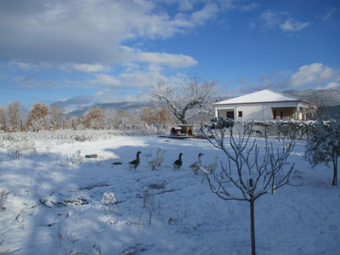 Σε .. λευκό πέπλο η Ζώνη στην Αρκαδία (εικόνες)