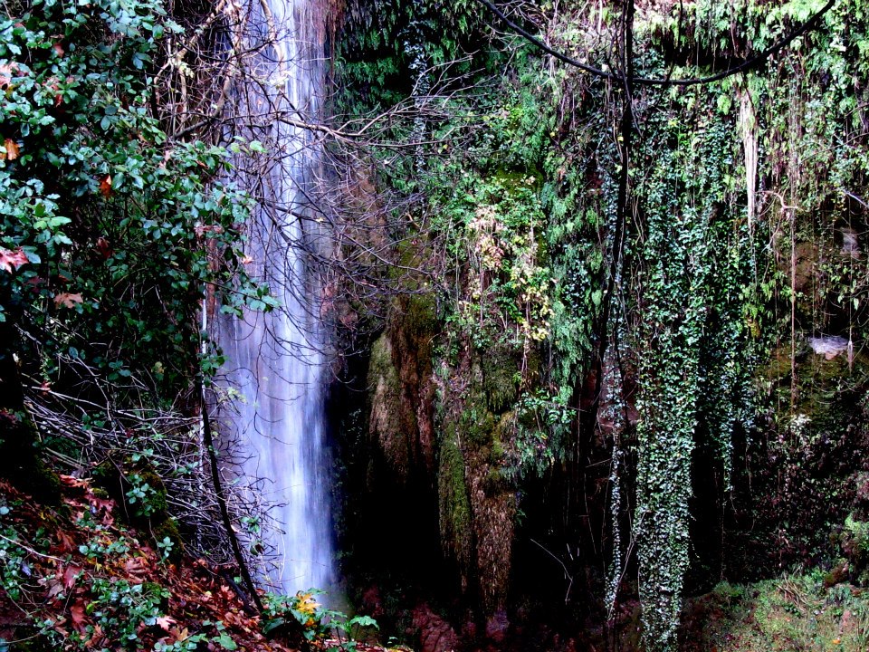 &Epsilon;&kappa;&pi;&omicron;&mu;&pi;ή &gamma;&iota;&alpha; &tau;&omicron;&nu; &pi;&omicron;&tau;&alpha;&mu;ό &Epsilon;&rho;ύ&mu;&alpha;&nu;&theta;&omicron; &theta;&alpha; &mu;&epsilon;&tau;&alpha;&delta;&omicron;&theta;&epsilon;ί &tau;&eta;&nu; &Kappa;&upsilon;&rho;&iota;&alpha;&kappa;ή &sigma;&tau;&eta;&nu; &Epsilon;&Tau;1!