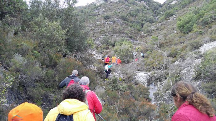 &Tau;&sigma;ά&kappa;&omega;&nu;&epsilon;&sigmaf; &pi;&epsilon;&rho;&iota;&pi;&alpha;&tau;&eta;&tau;έ&sigmaf; | &Pi;&rho;ώ&tau;&eta; &pi;&epsilon;&zeta;&omicron;&pi;&omicron;&rho;ί&alpha; &gamma;&iota;&alpha; &tau;&omicron; 2018