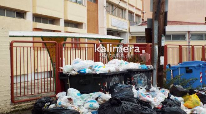 &Alpha;&kappa;ύ&rho;&omega;&sigma;&eta; &tau;&omega;&nu; &alpha;&pi;&omicron;&phi;ά&sigma;&epsilon;&omega;&nu; &gamma;&iota;&alpha; &mu;&epsilon;&tau;&alpha;&phi;&omicron;&rho;ά &sigma;&kappa;&omicron;&upsilon;&pi;&iota;&delta;&iota;ώ&nu; &tau;&eta;&sigmaf; &Tau;&rho;ί&pi;&omicron;&lambda;&eta;&sigmaf; &sigma;&tau;&eta; &Phi;&upsilon;&lambda;ή &zeta;&eta;&tau;&omicron;ύ&nu; &alpha;&pi;ό &tau;&eta;&nu; &Alpha;&tau;&tau;&iota;&kappa;ή!