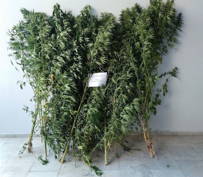 "&Sigma;&kappa;&omicron;ύ&pi;&alpha;" &alpha;&pi;ό &tau;&eta;&nu; &Alpha;&sigma;&tau;&upsilon;&nu;&omicron;&mu;ί&alpha; &sigma;&tau;&eta;&nu; &Pi;&epsilon;&lambda;&omicron;&pi;ό&nu;&nu;&eta;&sigma;&omicron; | &Alpha;&nu;&alpha;&kappa;&omicron;ί&nu;&omega;&sigma;&epsilon; 81 &sigma;&upsilon;&lambda;&lambda;ή&psi;&epsilon;&iota;&sigmaf; &kappa;&alpha;&iota; 126 &pi;&rho;&omicron;&sigma;&alpha;&gamma;&omega;&gamma;έ&sigmaf;!