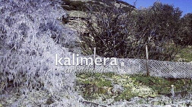 Το κρυσταλλωμένο δένδρο στην Παναγίτσα Αρκαδίας!