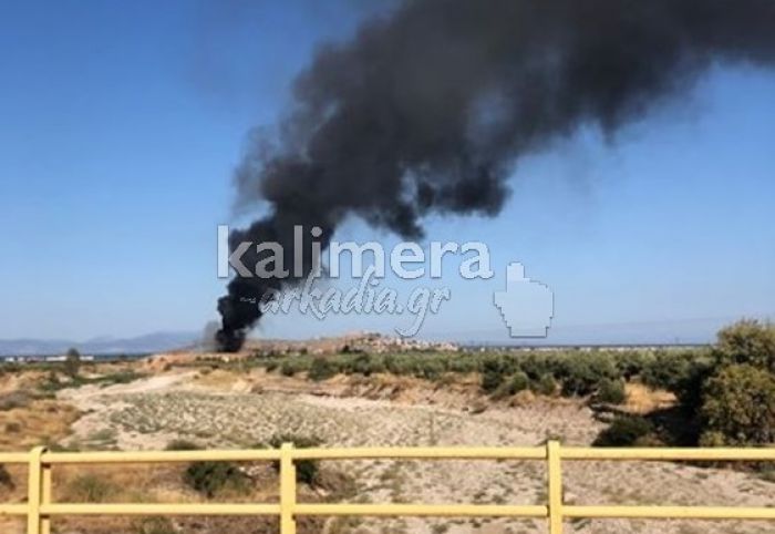 Άστρος | Κοντά στο χώρο φροντίδας των αδέσποτων ζώων η φωτιά (vd)