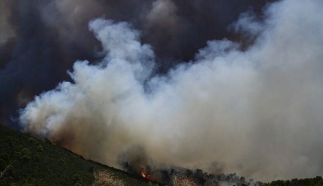Δολιανίτης: &quot;Fake η είδηση για πυρκαγιά στο Λεωνίδιο - Δεν κινδύνευσε ο Βιολογικός - Ήταν ελεγχόμενη καύση κλαδιών, με την άδεια της Πυροσβεστικής&quot;!