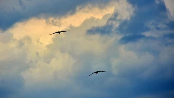 &Iota;&sigma;&chi;&upsilon;&rho;ή έ&kappa;&rho;&eta;&xi;&eta; | Ή&tau;&alpha;&nu; &pi;&rho;&omicron;&gamma;&rho;&alpha;&mu;&mu;&alpha;&tau;&iota;&sigma;&mu;έ&nu;&eta; &Nu;&alpha;&tau;&omicron;ϊ&kappa;ή ά&sigma;&kappa;&eta;&sigma;&eta;; Έ&pi;&epsilon;&sigma;&epsilon; &alpha;&nu;&tau;&iota;&kappa;&epsilon;ί&mu;&epsilon;&nu;&omicron; &kappa;&omicron;&nu;&tau;ά &sigma;&tau;&omicron; &Kappa;&alpha;&lambda;&omicron;&nu;έ&rho;&iota; &Gamma;&omicron;&rho;&tau;&upsilon;&nu;ί&alpha;&sigmaf;;