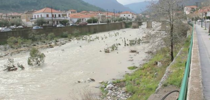 &Sigma;&epsilon; &omicron;&rho;&iota;&omicron;&theta;έ&tau;&eta;&sigma;&eta; &tau;&omicron;&upsilon; &laquo;&rho;έ&mu;&alpha;&tau;&omicron;&sigmaf; &Delta;&alpha;&phi;&nu;ώ&nu;&alpha;&raquo; &pi;&rho;&omicron;&chi;&omega;&rho;&omicron;ύ&nu; &sigma;&tau;&eta;&nu; &Kappa;&upsilon;&nu;&omicron;&upsilon;&rho;ί&alpha; &gamma;&iota;&alpha; &nu;&alpha; &alpha;&pi;&omicron;&phi;ύ&gamma;&omicron;&upsilon;&nu; &tau;&iota;&sigmaf; &pi;&lambda;&eta;&mu;&mu;ύ&rho;&epsilon;&sigmaf;
