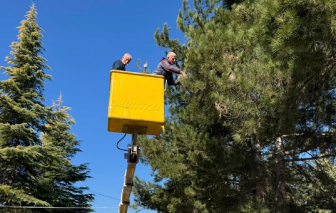 &Delta;&Alpha;&Kappa; &Tau;&rho;ί&pi;&omicron;&lambda;&eta;&sigmaf; | &Mu;έ&tau;&rho;&alpha; &Pi;&rho;&omicron;&sigma;&tau;&alpha;&sigma;ί&alpha;&sigmaf; &gamma;&iota;&alpha; &Pi;&alpha;&iota;&delta;&iota;ά &kappa;&alpha;&iota; &Alpha;&theta;&lambda;&omicron;ύ&mu;&epsilon;&nu;&omicron;&upsilon;&sigmaf;