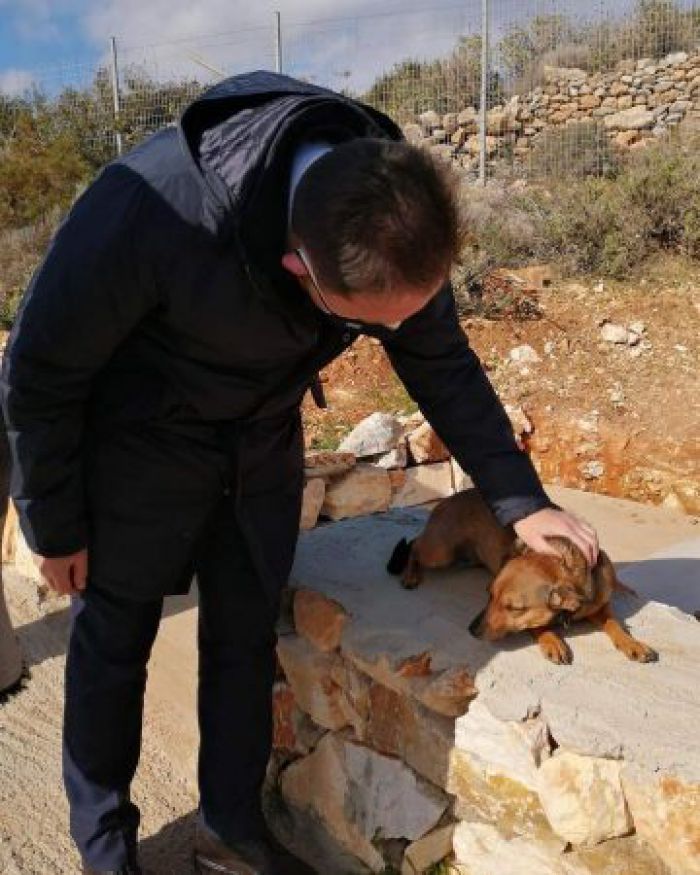 &Mu;&alpha;&zeta;&iota;&kappa;ό &pi;&rho;ό&gamma;&rho;&alpha;&mu;&mu;&alpha; &sigma;&tau;&epsilon;&iota;&rho;ώ&sigma;&epsilon;&omega;&nu; 5 &epsilon;&kappa;&alpha;&tau;. &epsilon;&upsilon;&rho;ώ &gamma;&iota;&alpha; &tau;&alpha;&nbsp;&alpha;&delta;έ&sigma;&pi;&omicron;&tau;&alpha; &zeta;ώ&alpha; - &Alpha;&nu;&alpha;&mu;έ&nu;&epsilon;&tau;&alpha;&iota; &nu;&alpha; &epsilon;&nu;&iota;&sigma;&chi;&upsilon;&theta;&omicron;ύ&nu; &kappa;&alpha;&iota; &Delta;ή&mu;&omicron;&iota; &tau;&eta;&sigmaf; &Alpha;&rho;&kappa;&alpha;&delta;ί&alpha;&sigmaf;