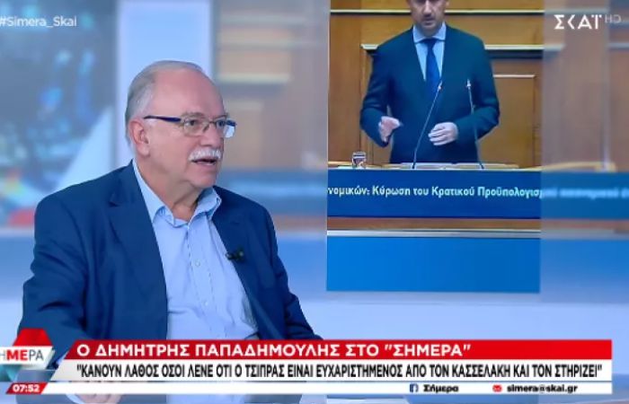 Παπαδημούλης στον ΣΚΑΪ: «Κάνουν λάθος όσοι πιστεύουν ότι ο Τσίπρας είναι ευχαριστημένος με την ηγεσία Κασσελάκη»