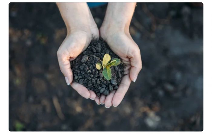 O Aνοιχτός Χώρος/Open Space συνεχίζει το πρόγραμμα του με το επόμενο εργαστήρι του: «Κρυμμένες Ιστορίες»