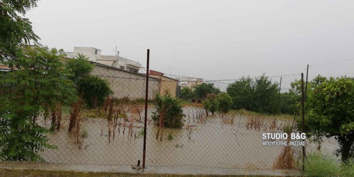 Κακοκαιρία | Πλημμυρισμένα υπόγεια, στο Άργος, χωρίς ρεύμα το Ναύπλιο (vd)