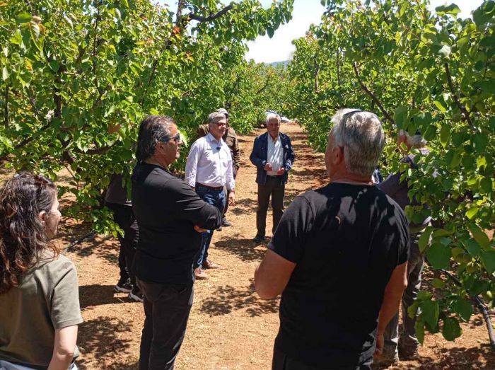 &Sigma;&epsilon; &epsilon;&xi;έ&lambda;&iota;&xi;&eta; &omicron;&iota; &epsilon;&kappa;&tau;&iota;&mu;ή&sigma;&epsilon;&iota;&sigmaf; &tau;&omicron;&upsilon; &Epsilon;&Lambda;&Gamma;&Alpha; &gamma;&iota;&alpha; &tau;&iota;&sigmaf; &zeta;&eta;&mu;&iota;έ&sigmaf; &alpha;&pi;ό &tau;&omicron;&nu; &pi;&alpha;&gamma;&epsilon;&tau;ό &sigma;&tau;&eta;&nu; &Pi;&epsilon;&rho;&iota;&phi;έ&rho;&epsilon;&iota;&alpha; &Pi;&epsilon;&lambda;&omicron;&pi;&omicron;&nu;&nu;ή&sigma;&omicron;&upsilon;